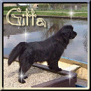 Hello Gitta!