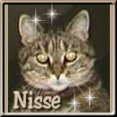 Watch my site too! I'm Nisse!