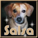 Hi, I am Salsa!!