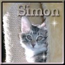 Hi Simon!!