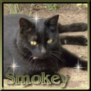 Smokey-girl, nice to see you!