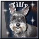 Momma and Daddy call me TillyWilly!