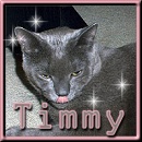 I `m Timmy, born in Stavanger