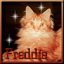 Dont't forget me, I am Freddie!