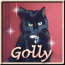 Hi I am Golly!