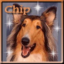 Hello Chip!!