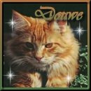 Douwe, father of Yoyo