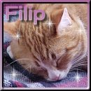 Filip