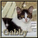 Gabby, mother of Harper, Hallie, Smokey and Neo