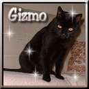 Gizmo