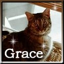 Hello Grace!