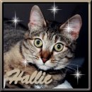 Hello Hallie!