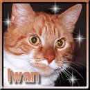 Iwan
