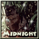 This is Midnight!