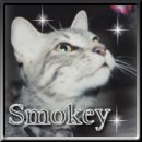 Smokey-boy!