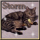 glad to see you Storm!