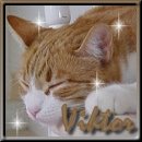 Viktor, roommate of Filip!