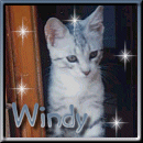 Windy has her own fansite!