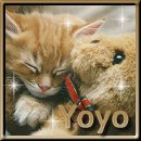 Yoyo, owner is Nettie Snijder
