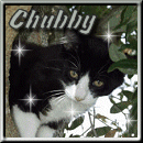 Chubby aka Fatty