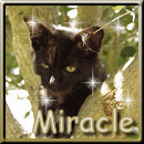 Miracle aka Marie
