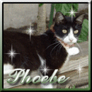 Phoebe aka Phoebs